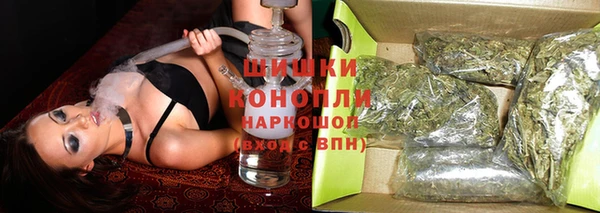 дживик Осинники