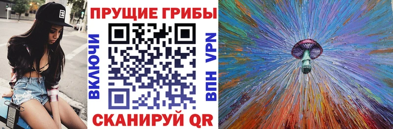 Купить где  Болотное  Галлюциногенные грибы GOLDEN TEACHER 