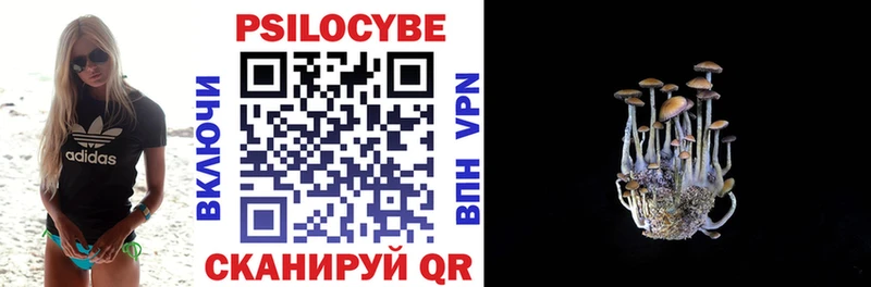 Псилоцибиновые грибы Psilocybine cubensis Болотное