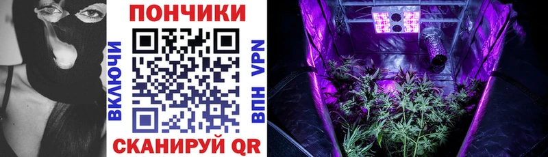 Конопля VHQ  Купить закладки  Болотное 